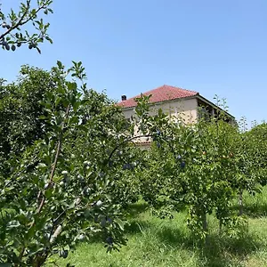  Séjour chez l'habitant Mance Albanie
